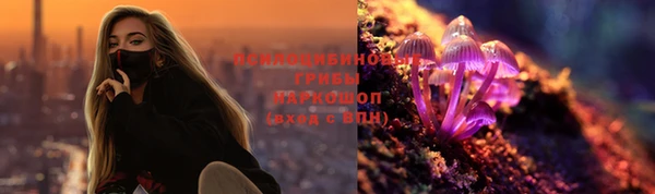 прущая мука Аркадак