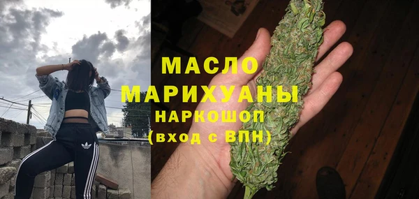 шишки Горняк
